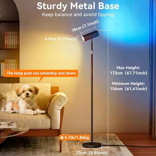 SIBRILLE Spotlight Floor Lamp, Tall LED Standing Lamp with Remote/Touch Control, 2700K-6500K, 350°Rotating Head Standing Lamp, Reading Floor Lamp for Living Room, Bedroom, Office & Wall Art, Black RGB - style: Black-RGB
