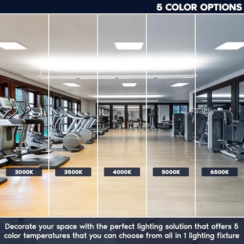 LUXRITE 2x2 FT LED Backlit Flat Panel Light, 5CCT 3000K-6500K (24 Pack) - size: 24 Count (Pack of 1)