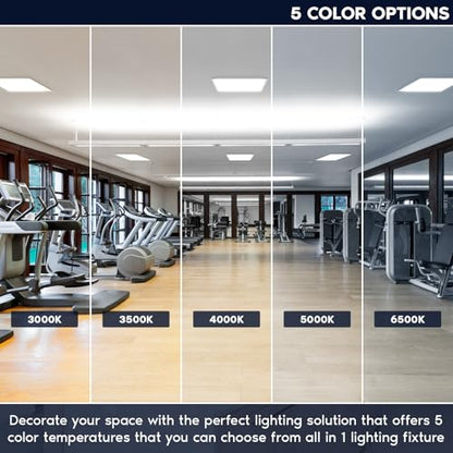 LUXRITE 2x2 FT LED Backlit Flat Panel Light, 5CCT 3000K-6500K (24 Pack) - size: 24 Count (Pack of 1)
