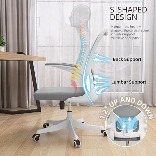 Ergonomic Office Desk Chair High Back Mesh Computer Chair Adjustable Chair | 360° Swivel Adjustable Lumbar Support & Flip-Up Armrests capacity 300 lbs capacity - color: 05grey