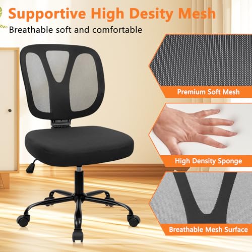 CLATINA Armless Home Office Chair, Adjustable Height Backrest Ergonomic Mesh Desk Chair with Wheels, 360° Swivel Small Computer Task Chair for Home Office, Study, Meeting Room, Black - color: Black-neva, size: 1 Pack