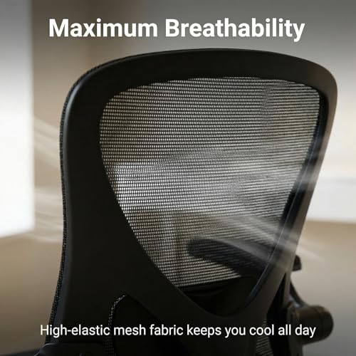 Ergonomic Office Chair, Adjustable Lumbar Support Desk Chair - color: 03black