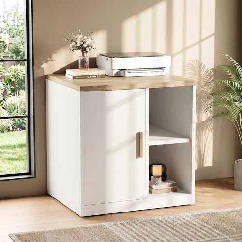 ModernMate Printer Stand with Door, Open Adjustable Shelves | 23" Printer Table, File Cabinet, Under Desk Storage Cabinet for Office, Living Room, and Study, Light Walnut - color: Light Walnut