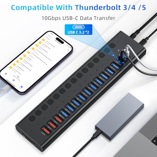 VANGREE Powered USB Hub 10Gbps, 17 Ports USB 3.2 Hub, 96W Power Adapter - color: Black
