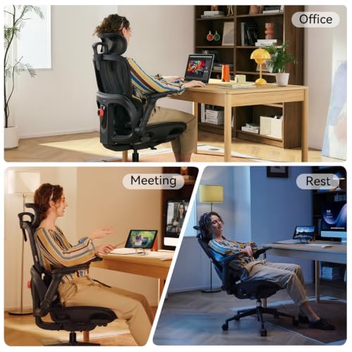 SIHOO B300 Pro Ergonomic Office Chair Without Footrest, 4D Lumbar Support - color: Black
