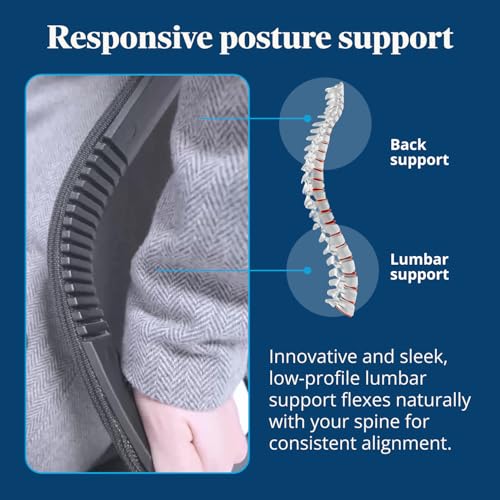 Clarksville Ergonomic Office Chair Adjust Lumbar Support Black | Mesh Back Office Chair, Synchro-Tilt Recline Home Office Desk Chairs with 3-Way Arms, 300 lb Capacity Computer Chair - color: Black