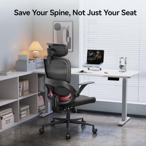 SIHOO B100 SE Ergonomic Mesh Office Chair, Desk Chair with Lumbar Support - color: Jet Black, size: Pack of 1