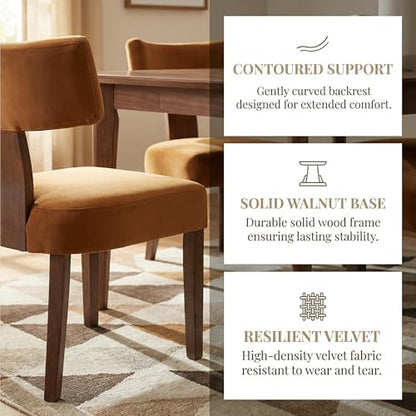 HNY Mid Century Modern Dining Chairs, Velvet Fabric Farmhouse Upholstered and Curved Backrest Kitchen Accent Chairs Set of 2, with Hardwood Frame, Burnt Caramel - color: Caramel Curved