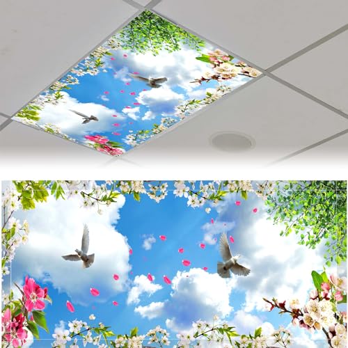 Patelai 4x2 Feet Light Covers for Classroom, Magnetic,Dove | Sky Cloud Print for Office Decor, Drop Ceiling Compatible, 10 Magnets Included, Filters Harsh Fluorescent Lighting - style: Dove