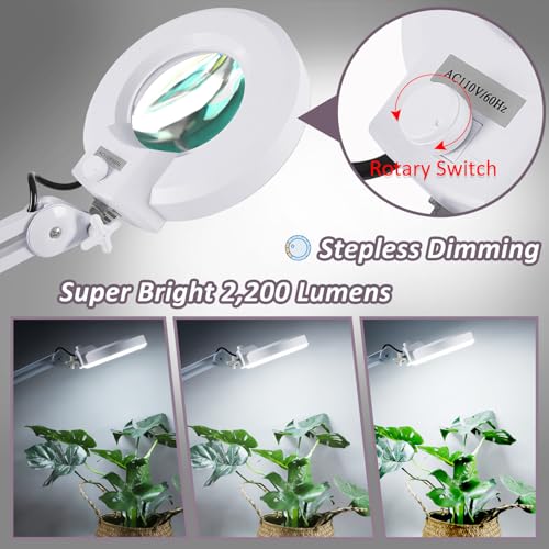 Veemagni Super Bright 2,200 Lumens, 15X Magnifying Glass with Light and Stand, Floor Lamp with 5-Wheel Rolling Base for Facials Lash Estheticians, LED Lighted Magnifier for Eyelash Extensions Reading
