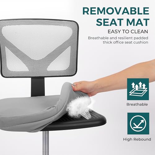 DUMOS Armless Desk Chairs, Small Home Office Mesh Chairs | Ergonomic Adjustable Mid Back, Swivel Rolling Task, Computer Work Vanity Small Spaces, New Grey - color: New Grey, size: 1pc