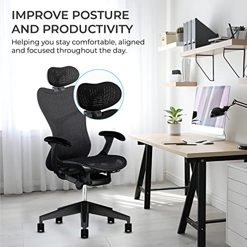 OFFICE LOGIX SHOP Mirra 2 Chair Headrest (Graphite Frame - Headrest w/Graphite Plastic Insert)