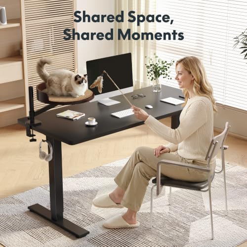 FLEXISPOT EN2 55"x28" Standing Desk Bundle with Monitor Mount, Maple - color: Black Frame + Black Top, size: 55x28 | Cat Bed