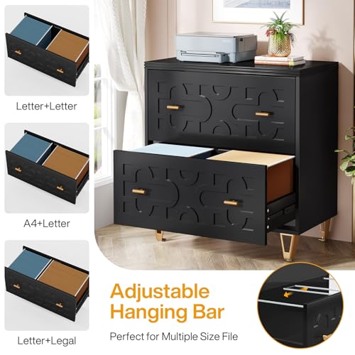 Tribesigns 2-Drawer Lateral File Cabinet, Black and Gold | Modern, Legal/Letter/A4 Size, Large Storage, Printer Stand, Home Office - color: Black & Gold