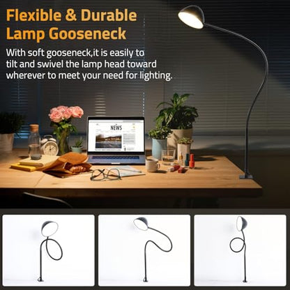 Long Gooseneck Clamp Lamp, Clip Desk Lamp with Clamp, 10W, 1100 LMS, 3 Color Modes, 10 Brightness Levels, 31 Inches Long Flaxible Gooseneck, Perfect for Craft, Reading, Home, Office - size: Large