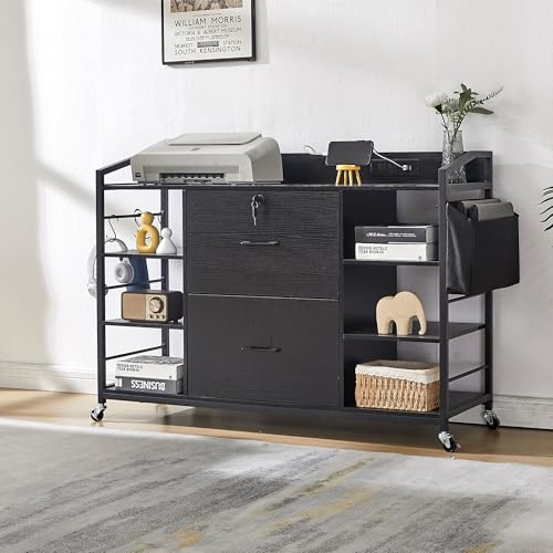 45" File Cabinet for Home Office, Mobile Office Storage Cabinet with Built-In Power Outlet, 2 Drawer Filing Cabinet with Lock, Shelves, Metal Hook, Storage Bag fits A4/Legal/Letter Size (Black) - color: Black