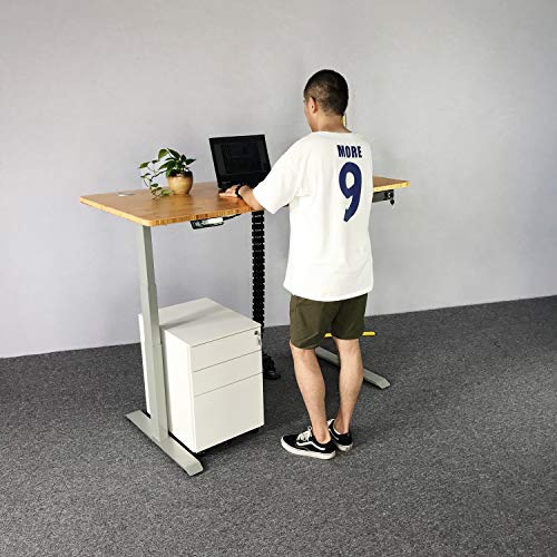 VJ201-S3 Electric Height Adjustable Sitting Standing Desk Frame Only/Sit Stand - Dual Motors 3 Segment Motorized Desk Base Only,Gray - color: Grey