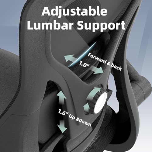 ralex-chair Ergonomic Office Desk Chair with Adjustable Lumbar Support | 3D Flip-up Armrest, 350lbs Capacity, Breathable Mesh Back,PU Leather Seat, for Office,Home,Computer, Black - color: Black