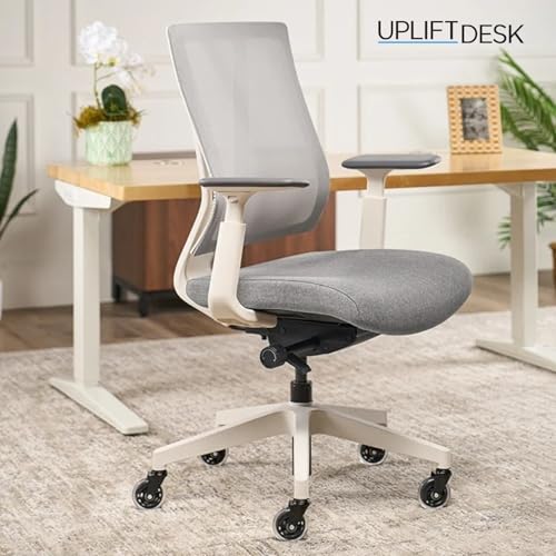 Clarksville Ergonomic Office Chair, Adjust Lumbar Support, Fog | Mesh Back Office Chair, Synchro-Tilt Recline Home Office Desk Chairs with 3-Way Arms, 300 lb Capacity Computer Chair - color: Fog
