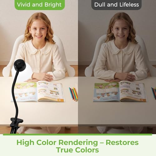 Desk Lamps for Home Office,Small LED Reading Lamp,5000K Eye-Care Desk Light | Clip On Desks Lamps for College Dorm, Kids Desk, Bed Headboard, Flexible Gooseneck, Compact Small Table Lamp - color: Matte Black