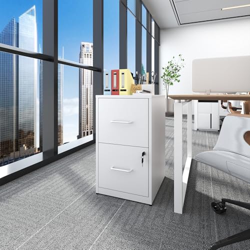 Metal File Cabinet with Drawer Heavy Duty Locking File Cabinets | Home Office Steel Filing Cabinet Vertical File Cabinets for Legal/Letter Size File,Assembly Required - color: White, size: 25.6"H-2 drawers