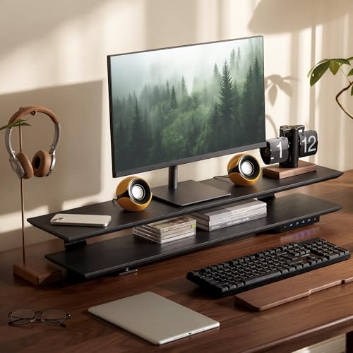 Dual Monitor Stand Riser for Large Office Desk Organization, Black