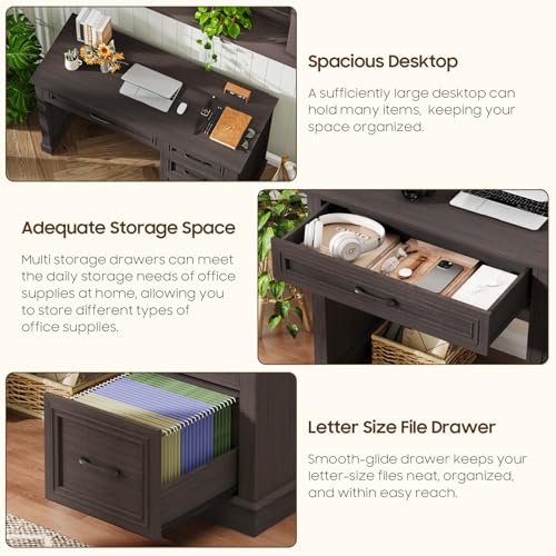 Halitaa Farmhouse 47" Executive Desk with File Drawer, Espresso - color: Brown, size: Style 2