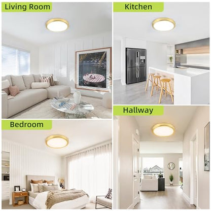 hykolity 9 Inch Selectable CCT LED Round Flat Panel Light,1800LM,2 Pack | 18W 3000K/4000K/5000K, Edge-Lit Flush Mount Ceiling Light Fixture for Kitchen, Bedroom, Laundry and Closet Room,Gold - color: Gold, size: 9 inch