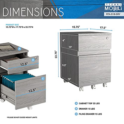 2‑Drawer Rolling File Cabinet with Lock, Under‑Desk Storage & Wheels, Grey