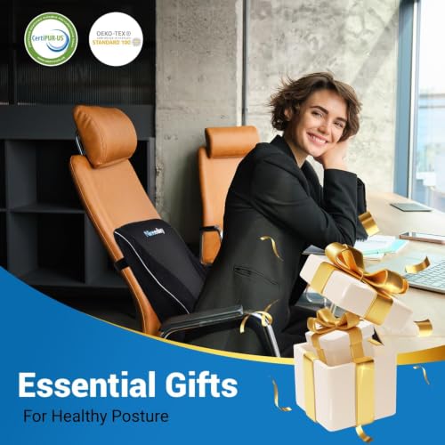 Lumbar Support Pillow for Office Chair Car, Gaming Chair Lower Back Pain Relief Memory Foam Cushion with Greeting Card,3D Mesh Cover Ergonomic Back Rest, Birthday Gift for Dad,Stocking Stuffers - size: Full Back Gift Box-17'*16'*5'