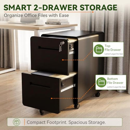 SAWJEC 2 Drawer File Cabinet with Lock, Fully Assembled Mobile Cabinet - color: 04b-black