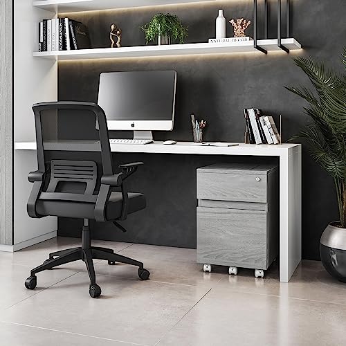 2‑Drawer Rolling File Cabinet with Lock, Under‑Desk Storage & Wheels, Grey