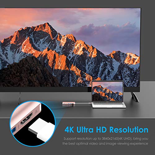 LENTION 6-in-1 USB-C Hub, 2 USB3.0, 4K@30Hz, Ethernet, Card Reader, 100W PD | Ideal for Work & Study, Stable Driver 3.0 Certified, Compatible with macOS, iOS/iPadOS, Windows & ChromeOS (C68, Rose Gold)