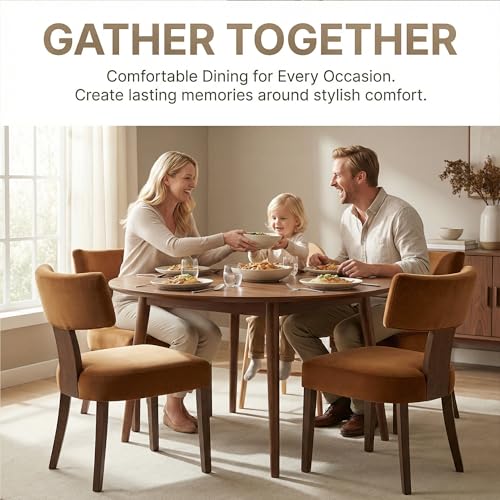 HNY Mid Century Modern Dining Chairs, Velvet Fabric Farmhouse Upholstered and Curved Backrest Kitchen Accent Chairs Set of 2, with Hardwood Frame, Burnt Caramel - color: Caramel Curved