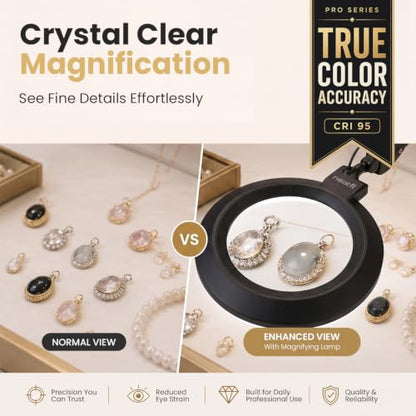 Neatfi Pro Series Bifocal LED Magnifying Lamp – True Color Accuracy (CRI 95) | 7-Inch Acrylic Lens | 2.25x/6x Magnification | 168 LEDs | CCT | Professional Magnifier Lamp (Black, CCT with Clamp) - color: Black, size: CCT with Clamp