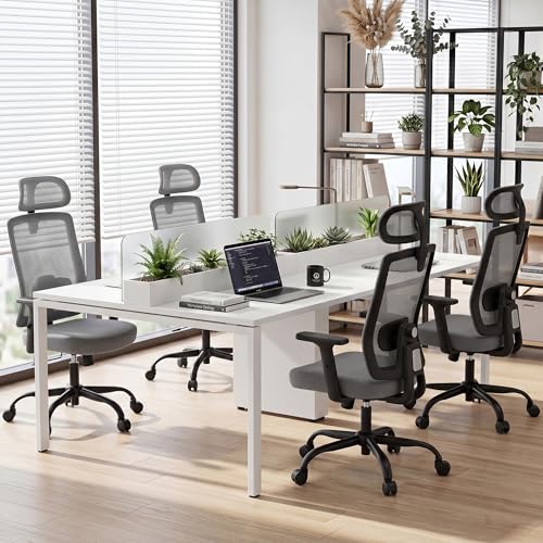 Shintenchi Mesh Office Chair, Ergonomic Home Office Desk Chair with Adjustable Lumbar Support, Headrest, 90°-135° Tilt, Computer Chair for Home Office, Gray Task Chair