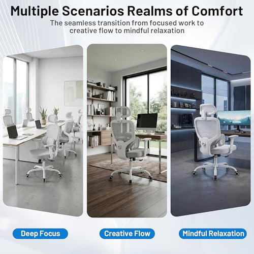 Ergonomic Office Desk Chair, High Back Breathable Mesh Computer Chair, 3D Lumbar Support, 2D Headrest & 3D Armrests, 300lbs Heavy Duty Task Chair for Home Office Work Gaming, Gray - color: Grey