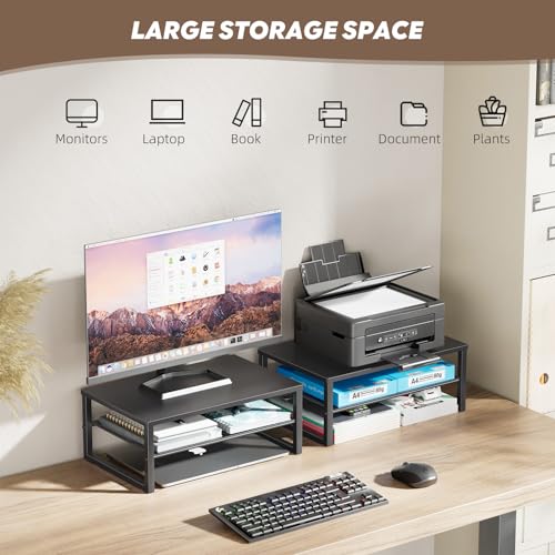 Ekisemio 2-Tier Computer Monitor Stand Riser, Desk Organizer for Monitor, Black