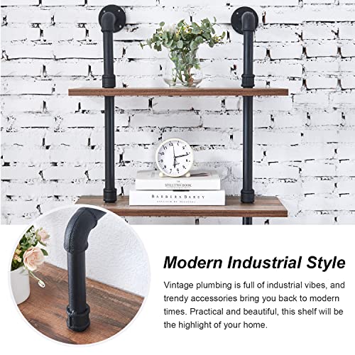 Hombazzar Industrial Pipe Bookshelf,6 Tier Pipe Shelving for Living Room