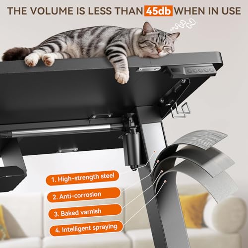 Standing Desk, 63 x 24 Inches Electric Height Adjustable Desk, Sit Stand up Desks, Memory Computer Home Office Gaming Desk with 3 Preset Heights, Table Cable Management Box,Black - color: Black, size: 63 x 24 inch