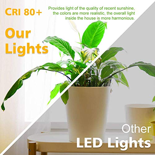 2 Inch LED Downlight, Recessed Lighting Dimmable Ceiling Light, 3W, 3000K Warm White, CRI80 with LED Driver(35W Halogen Equivalent), 1 Pack - color: Warm White, size: White/1 Pack