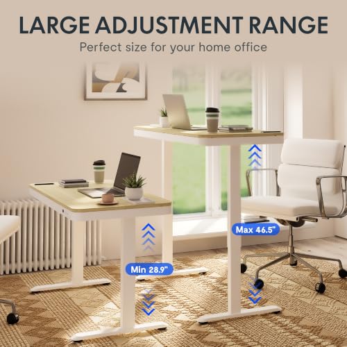 FLEXISPOT Comhar 48" Electric Standing Desk with Storage, Built-in Drawer & USB Charging Ports, Height Adjustable Sit Stand Computer Desk, Quick Assembly, Child Lock, Light Maple Finish/White Legs - size: 48"White Wood Grain
