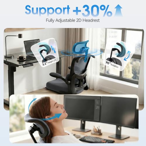 AreShark Ergonomic Office Chair, Desk Chair with Adjustable Lumbar Support | High Back Breathable Mesh Computer Chair with Adjustable Headrest,Hanger,Flip Up Armrest and Rocking Function for Home Office - color: Dark Gray