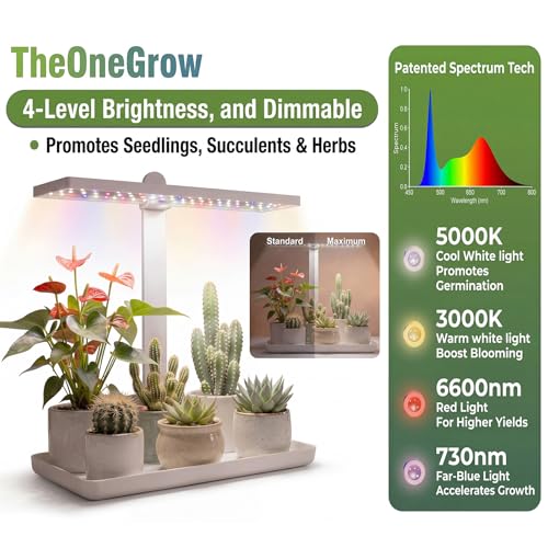 Desk Grow Light with Tray, Small Full Spectrum Plant Light for Indoor Plants, Adjustable Height Tabletop Grow Lamp for Succulents, Bonsai, Seedlings & Herbs, Auto 3/9/12H Timer, 4 Dimmable Levels