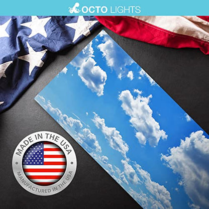 OCTO LIGHTS Fluorescent Light Covers for Classroom Office - Eliminate Harsh Glare Causing Eyestrain and Headaches. Office & Classroom Decorations - Cloud 001-2pk | ASTM E84 & UL723 Fire Safety Certified | Reduces Glare & Eye Strain | Easy Drop-In Install