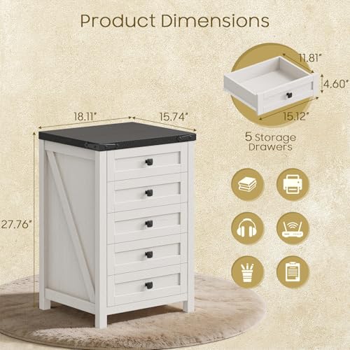 Halitaa 5 Drawer Small File Cabinet, Farmhouse Vertical Filing Cabinet - color: Rustic White and Black