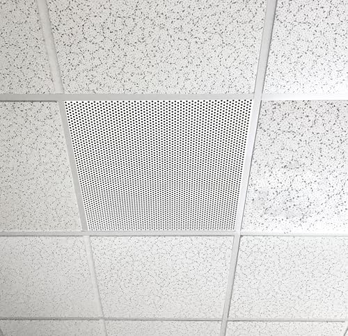 2'x2' White Plastic Perforated Tile with 3/8" Holes (2-Pack)